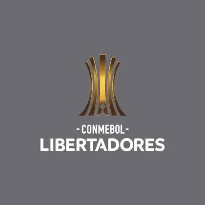 Live South American football: CONMEBOL Libertadores.